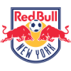 ניו יורק רד בולס